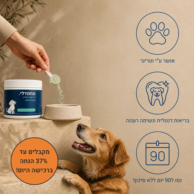 מחמדלי FRESH - תוסף לבריאות השיניים, החניכיים, ולנשימה רעננה לכלבים