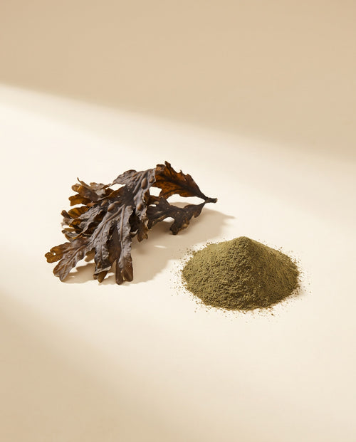 fresh-ing-ascophyllum