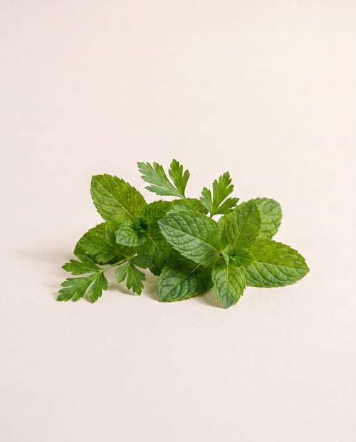 fresh-ing-peppermint