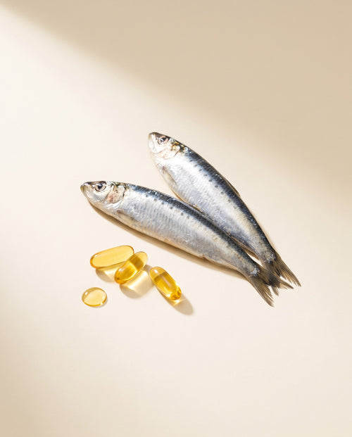 shine-ing-fishoil