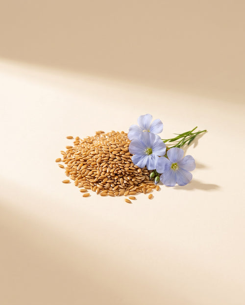 shine-ing-flax
